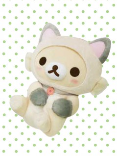 toreba cat