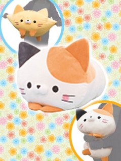 toreba cat