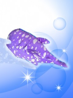 toreba whale shark